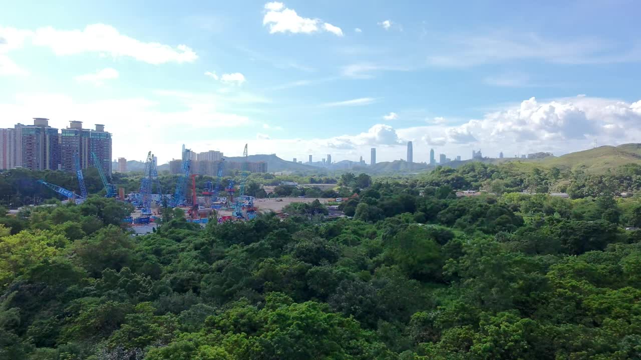 縮圖