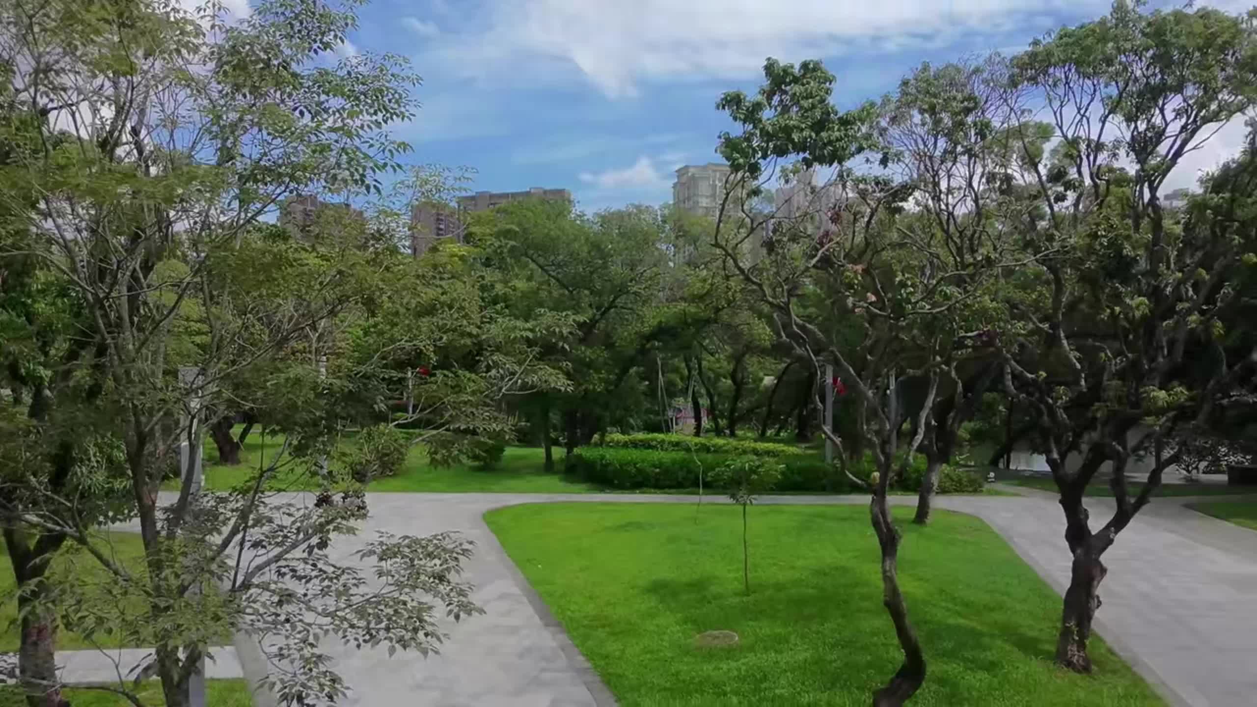 縮圖