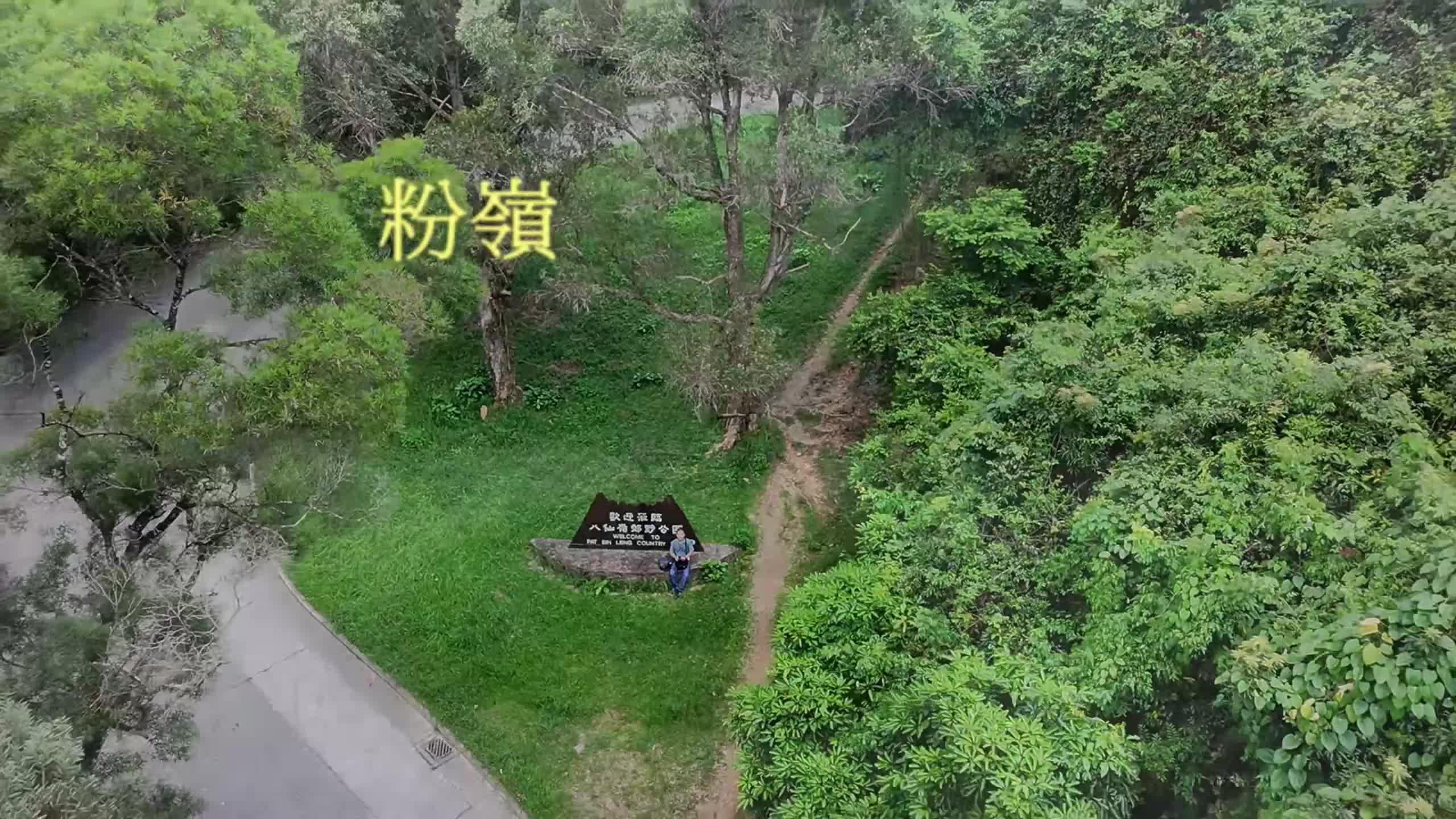 縮圖