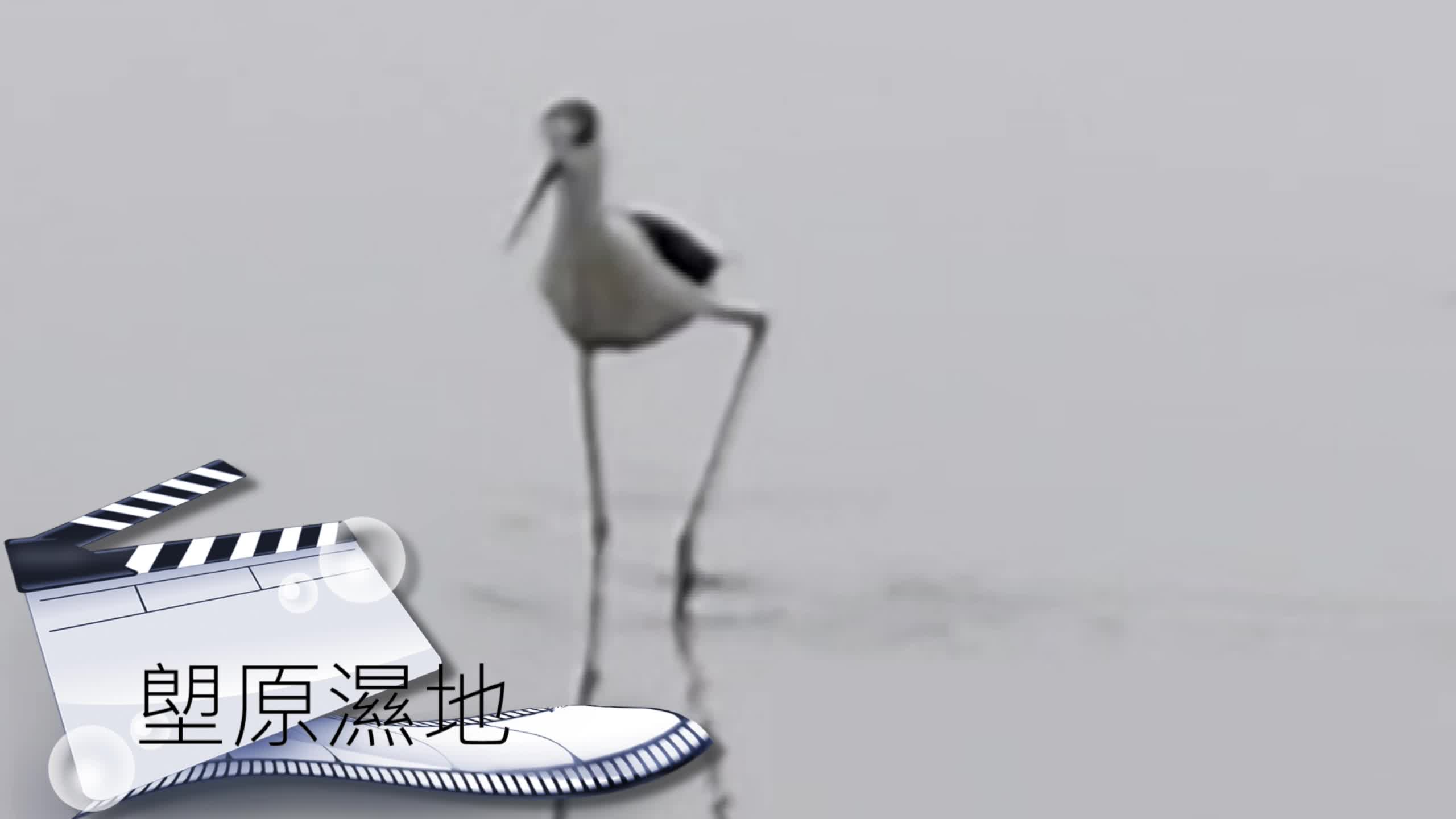 縮圖