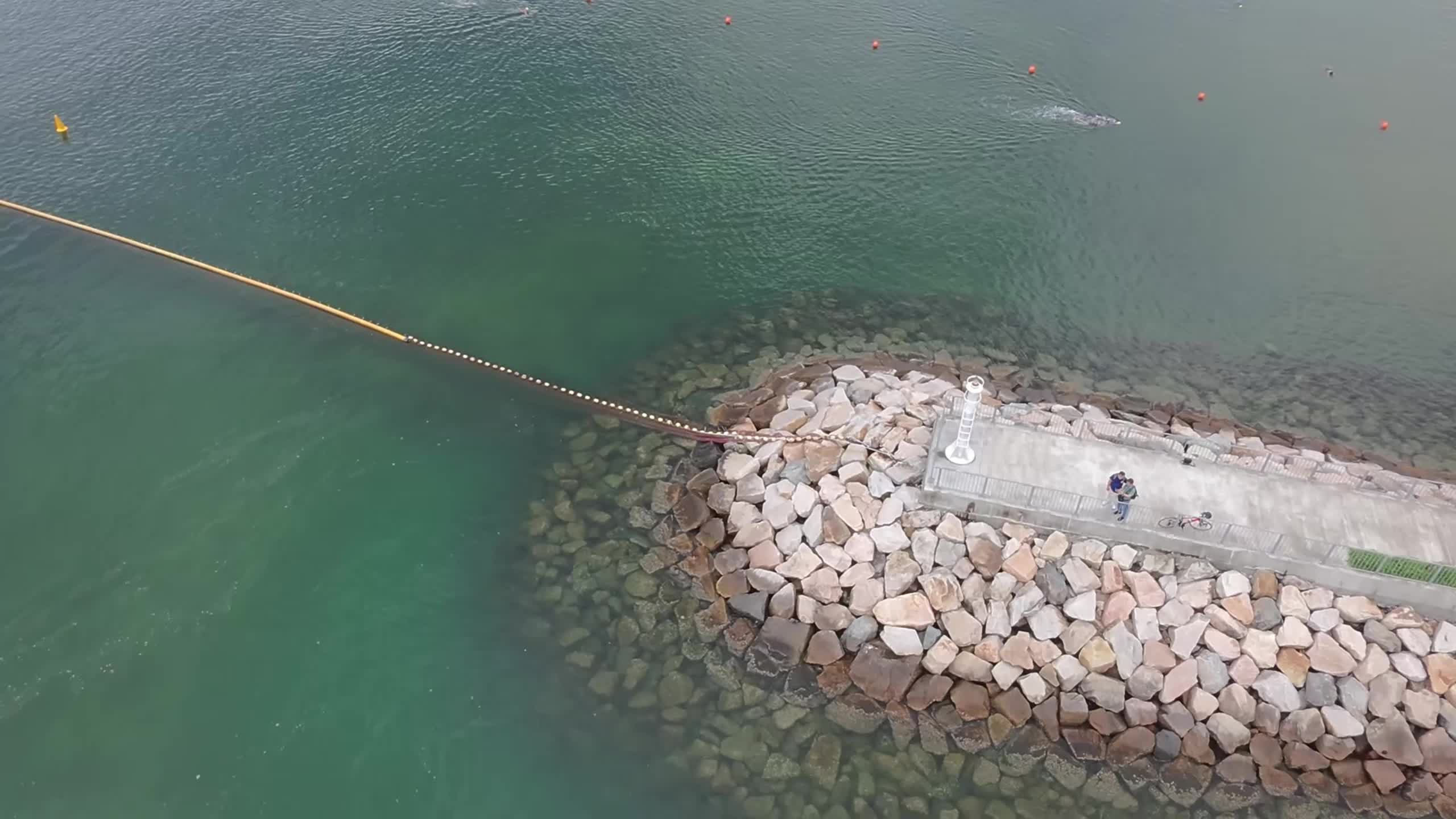 縮圖