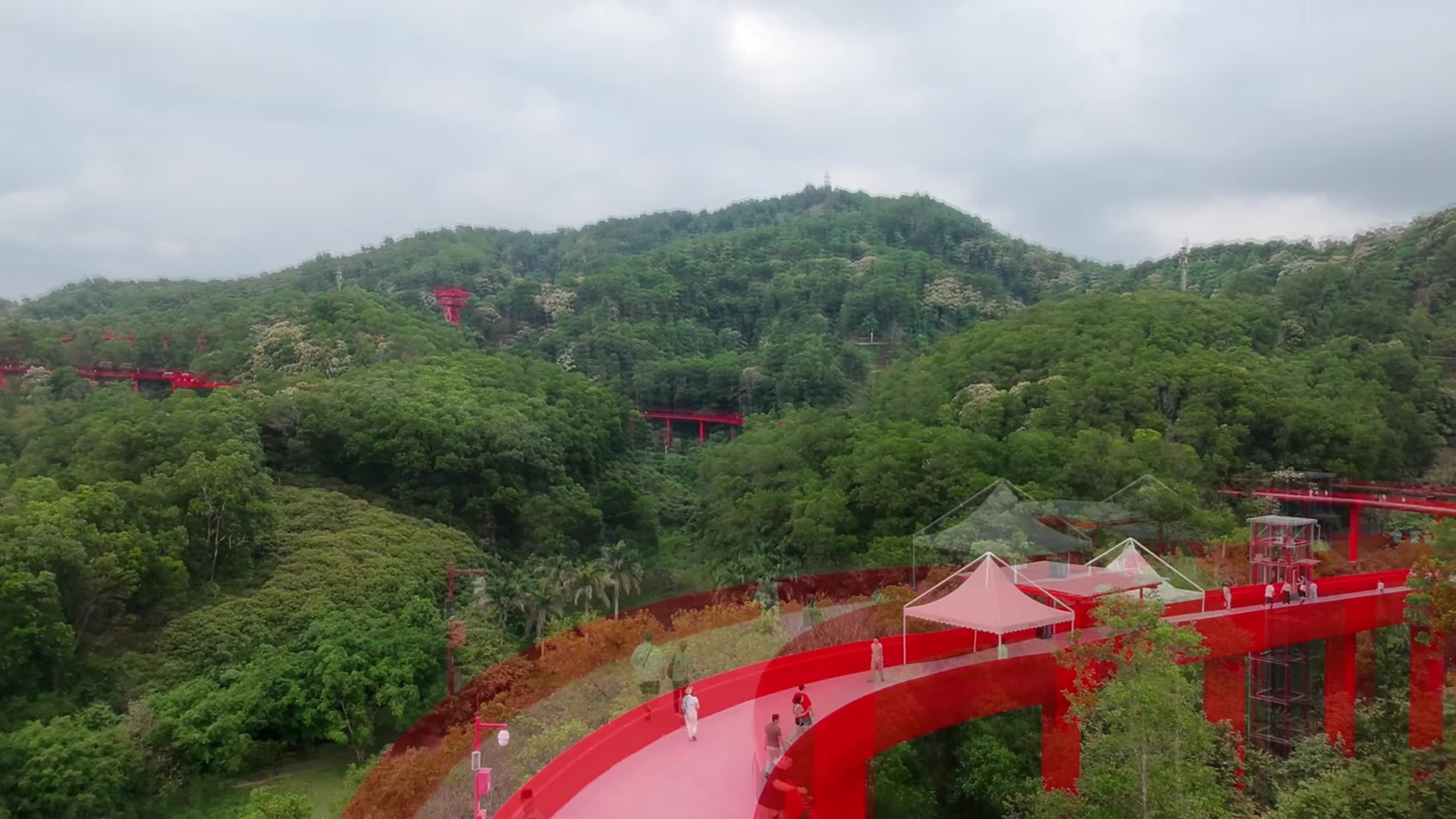 縮圖