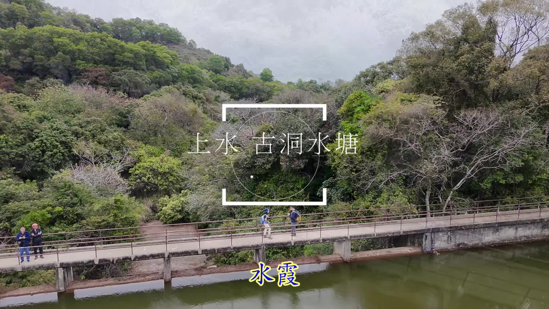 縮圖