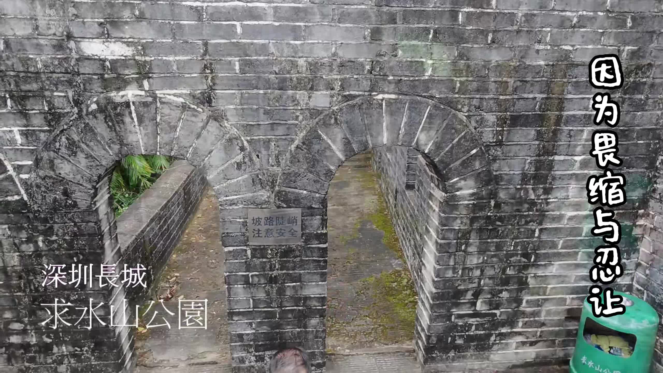 縮圖