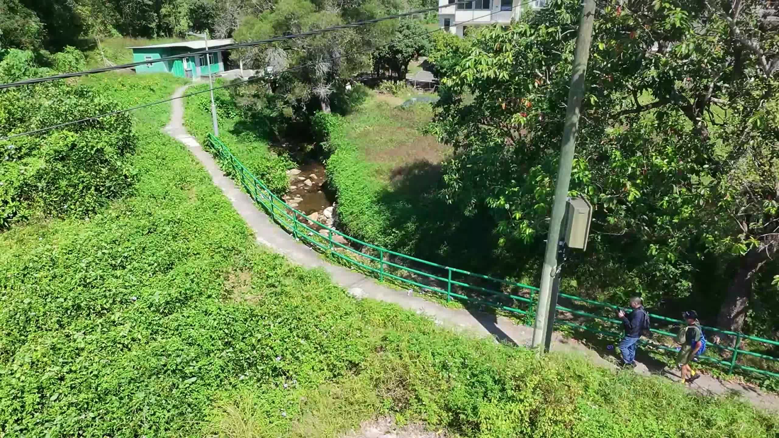 縮圖