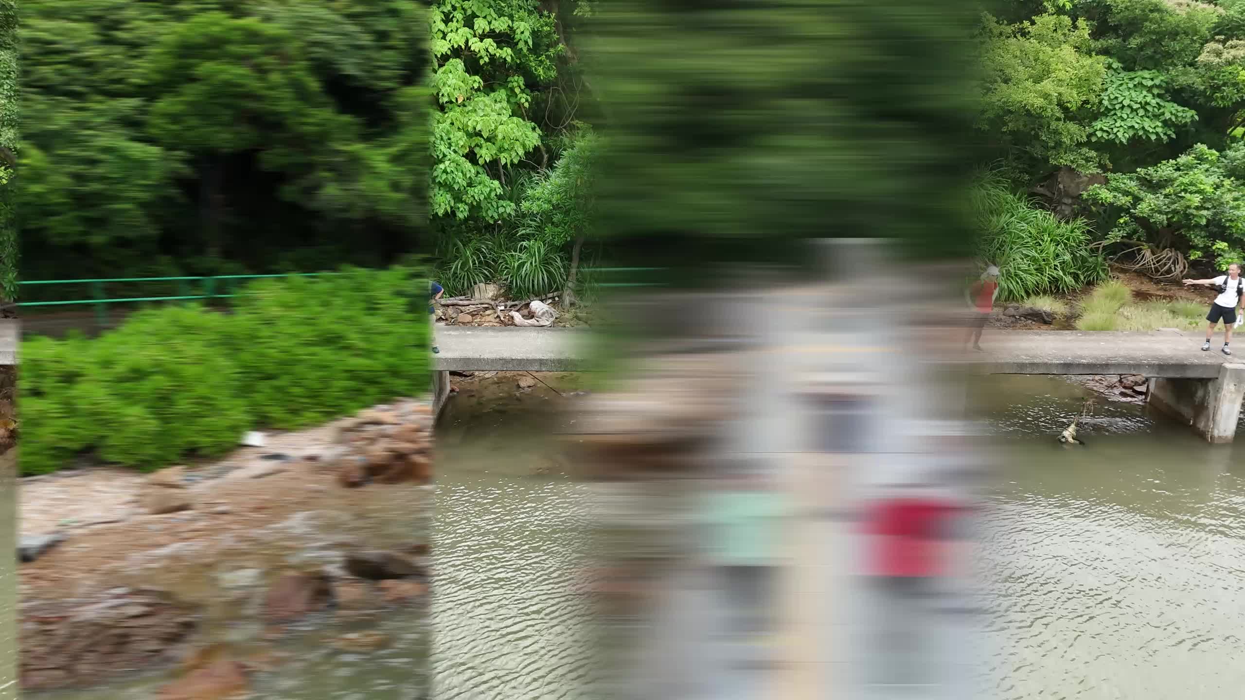 縮圖