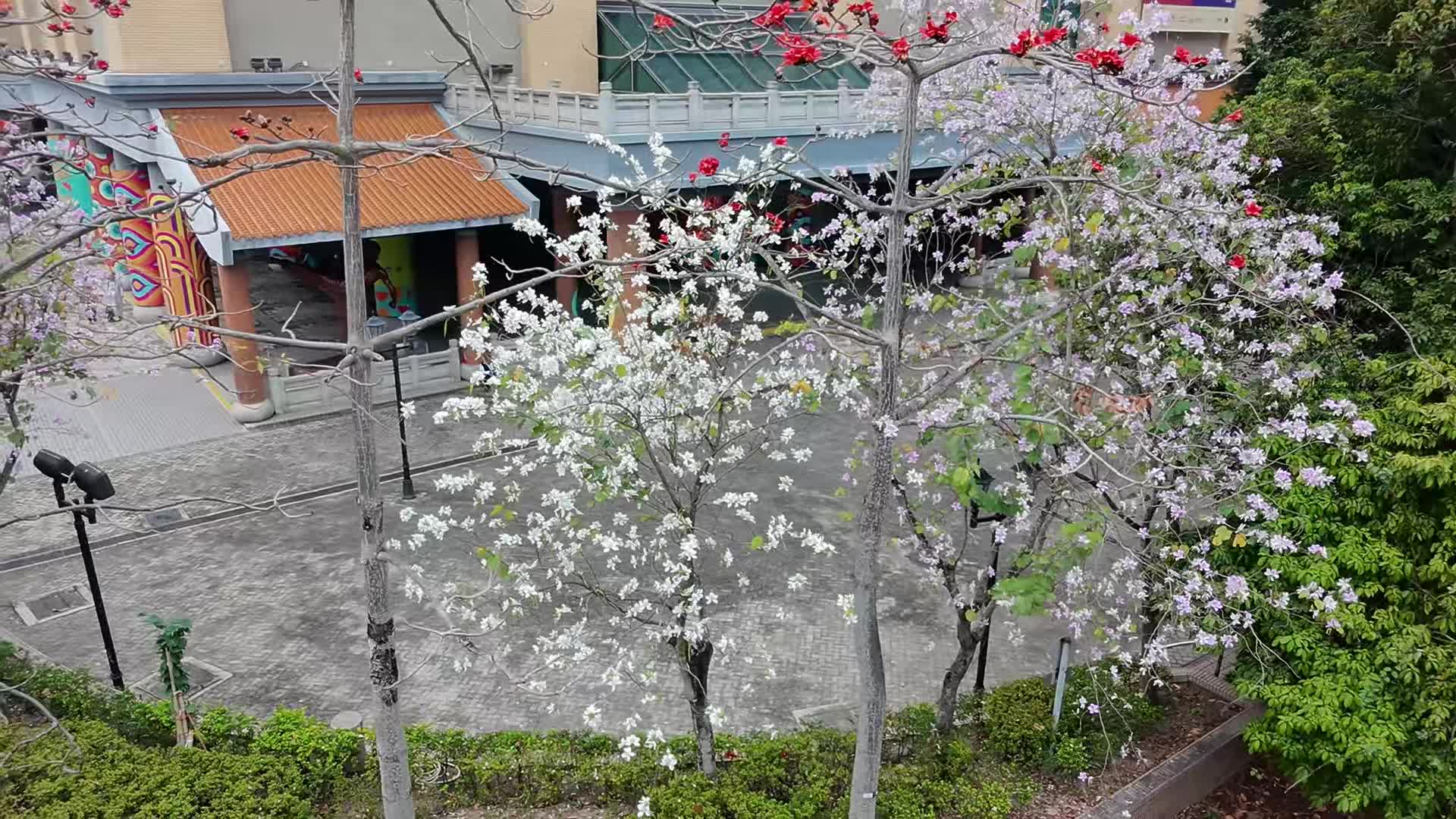 縮圖