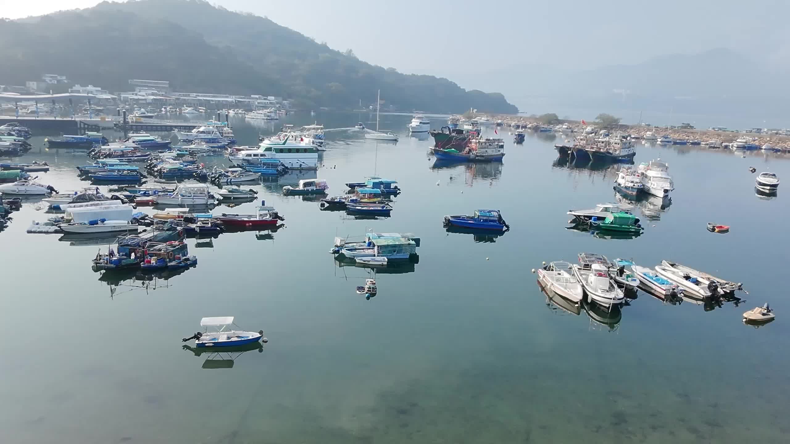 縮圖